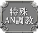 特殊AN調教