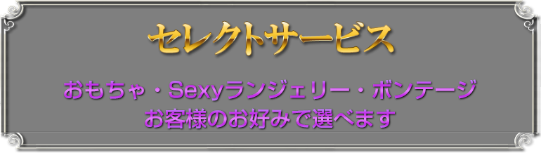 セレクトサービス